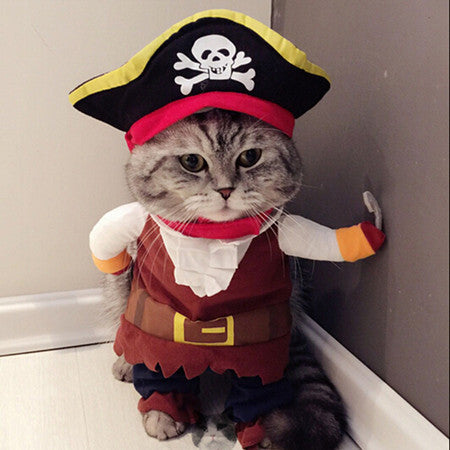 FUNNY CAT PIRATE COSTUME